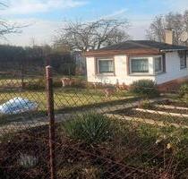 Garten in Weißenfels, Naumburger Straße eV , abzugeben - Naumburg (Saale)