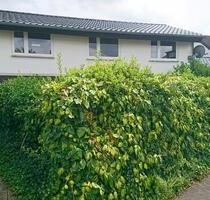 Freistehendes Einfamilienhaus in Bad Salzuflen-Knetterheide