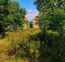 Baugrundstück 325 qm zu vermietenverpachten - Delitzsch
