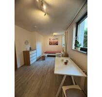 Zentrales 1- Zimmer Appartment, Kurzzeitmiete Juni bis September - Ulm Obertalfingen