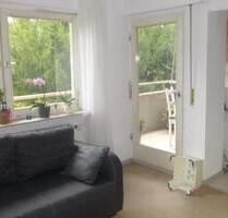 Schöne ruhige 1 Zi.-Wohnung Neuenheim Uni-Nähe - Heidelberg