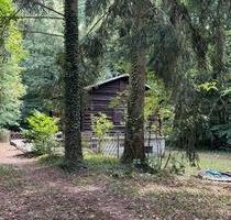 Wochenende -Freizeitgrundstück mit großem Garten - Röthenbach an der Pegnitz