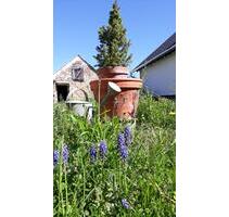 Haus am Balaton - 110.000,00&nbsp;EUR Kaufpreis, in Potsdam (PLZ: 14480) Drewitz