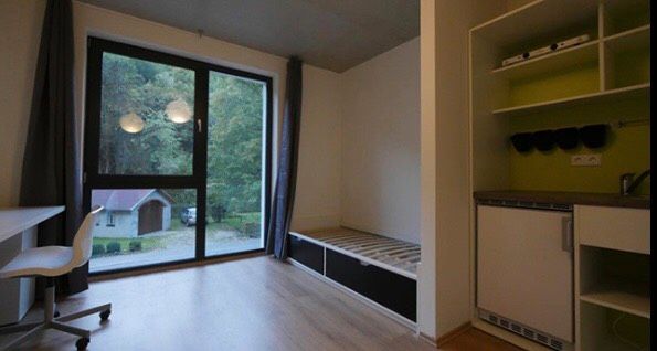 Einzelapartment mit integrierter Küche und Bad (voll möbliert) - Tharandt