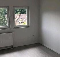 Schöne komplett sanierte 3-Zimmer-Wohnung in Bad Grund - Bad Grund (Harz)