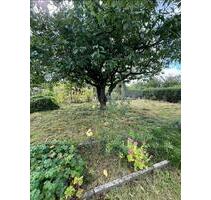 Kleingarten abzugeben - 127,00 EUR Kaltmiete, ca.  0,00 m² in Meine (PLZ: 38527)