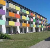 Wohnung 502€ warm Greifswald Innenstadt