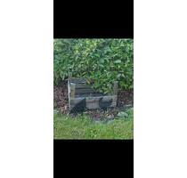 Schrebergarten - 600,00 EUR Kaltmiete, ca.  0,00 m² in Uelzen (PLZ: 29525)