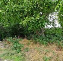 GartenGrünfläche für ImkerBrennholz in Römerberg zu verpachten