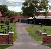 1,5 Zimmer-Wohnung an weibliche Person - Altenmedingen