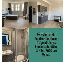 Zwischenmiete (Oktober–November–Dezember) - Kassel Vorderer Westen