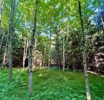 Wald Grundstück zu Verpachten - 485,00 EUR Kaltmiete, ca.  0,00 m² in Mammendorf (PLZ: 82291)