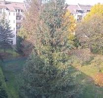 NEU RENOVIERT BESTLAGE BLICK INS GRÜNE MODERNER SCHNITT - Chemnitz Ebersdorf