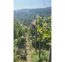 Traumhaftes Wein-Gartengrundstück mit Weinberghütte Rohracker - Stuttgart Hedelfingen