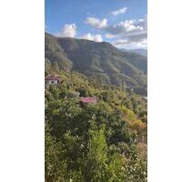 Hütte im Taurusgebierge - 65.000,00&nbsp;EUR Kaufpreis, ca.&nbsp; 70,00&nbsp;m&sup2; in Weil am Rhein (PLZ: 79576)