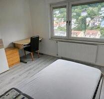 WG Zimmer ab 01.07 zu vermieten - Heidelberg Peterstal