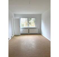 Helle und gemütliche Einzimmerwohnung in Schwerin