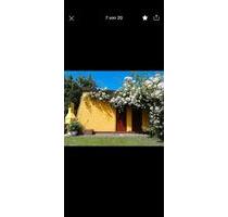 Pachtgarten am Rosarium - 1.600,00 EUR Kaltmiete, ca.  0,00 m² in Chemnitz (PLZ: 09113) Altendorf