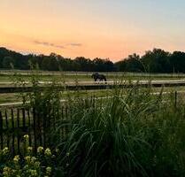 Großzügiges Einfamilienhaus zu vermieten - Waltrop