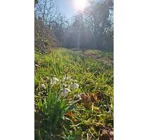 Freizeitgrundstück Garten - 65,00 EUR Kaltmiete, ca.  0,00 m² in Neustadt an der Donau (PLZ: 93333)