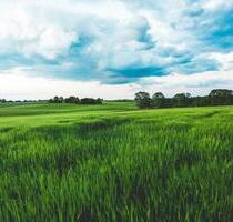 Ackerland - 2,7 ha - 2,00 EUR Kaltmiete, ca.  0,00 m² in Schweitenkirchen (PLZ: 85301)