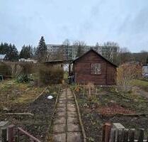 Kleingarten 250qm für Landwirtschaft und Hobbygärtner - Chemnitz Borna-Heinersdorf