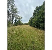 Garten Acker Wiese Waldgrundstück Freizeit - Gaggenau