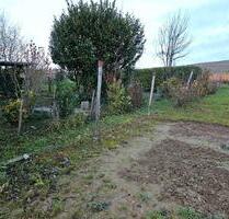 Gartengrundstück Ehrenstetten - 100,00 EUR Kaltmiete, ca.  0,00 m² in Ehrenkirchen (PLZ: 79238)