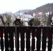 Möblierte Single Wohnung - 350,00 EUR Kaltmiete, in Kronach (PLZ: 96317)