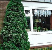 Bungalow - Hälfte zum Vermieten - Marklohe