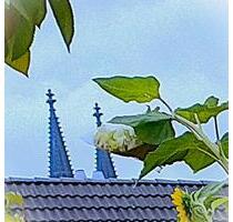 Aufstockungsfähiges Dachgeschoß (Domblick, Parklage) zu verkaufen - Köln Innenstadt