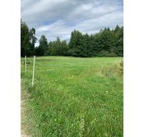 Wiese zu verpachten - 400,00 EUR Kaltmiete, ca.  0,00 m² in Eggstätt (PLZ: 83125)