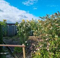 Kleingarten mit Laube - 1.500,00 EUR Kaltmiete, ca.  0,00 m² in Rabenau (PLZ: 01734)