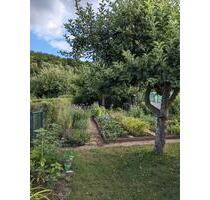 Schöner Schrebergarten am Bausenberg - Coburg