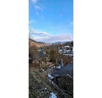 Pachtgarten im Langetal Jena abzugeben