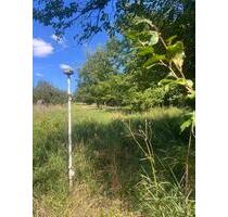 Streuobstwiese - 900,00 EUR Kaltmiete, ca.  0,00 m² in Bruchsal (PLZ: 76646)