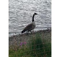 3 Zimmer-Wohnung Erfurt Stadt - 785,00&nbsp;EUR Kaltmiete, ca.&nbsp; 90,00&nbsp;m&sup2; in Erfurt (PLZ: 99084)