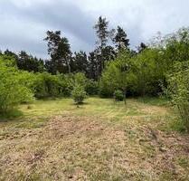 Natur pur - Freizeitgrundstücke mit altem Haus, nahe Berlin - Ziesar