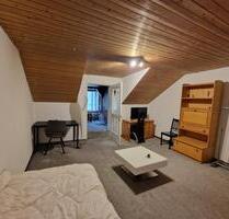 1 Zimmer Appartment Waldshut Innenstadt - Waldshut-Tiengen