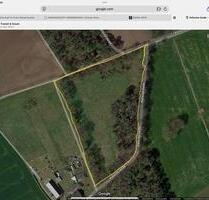 Landwirtschaftliche Fläche Grünland in Hamminkeln-Brünen - Wesel Fusternberg