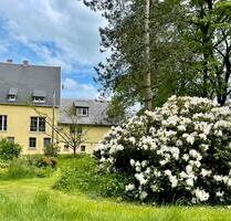 Single - Dachgeschosswohnung 50qm WIRKLICH WOHNEN WIE IM URLAUB - Plauen Altstadt