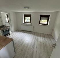 Moderne 2-Zimmer-Wohnung EG Aalen - Wasseralfingen