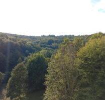 3,5 ZW 91 qm² - Waldpanorama - Wohnen, wo andere Urlaub machen - Eppstein