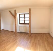 Helle 1-Zimmer-Wohnung (50 qm) in Hessellohe - Neuburg an der Donau
