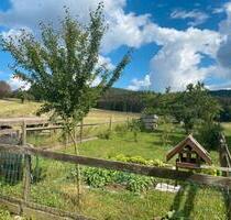 Schrebergarten Kleingarten zu verpachten bzw. vermieten - Oberzent