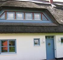 Ferienhaus Ostsee Usedom 1-8 Personen Hunde Sauna Kamin Garten