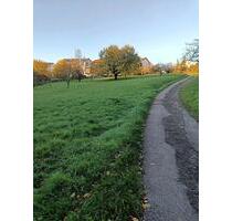 Idyllische Streuobstwiese in Esslingen-Sulzgries zur Pacht - Esslingen am Neckar Brühl