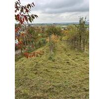Baumwiese (Landwirtschaftsfläche) - Esslingen am Neckar Brühl