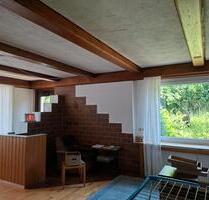 Sanierte 3 Zimmer Wohnung , Landhausstil WG möglich - Dachsberg (Südschwarzwald)