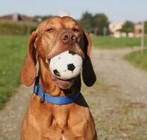 Preiswerte Mietkaufimmobilie abzugeben. Altschulden kein Hindernis. - Hamm Bockum